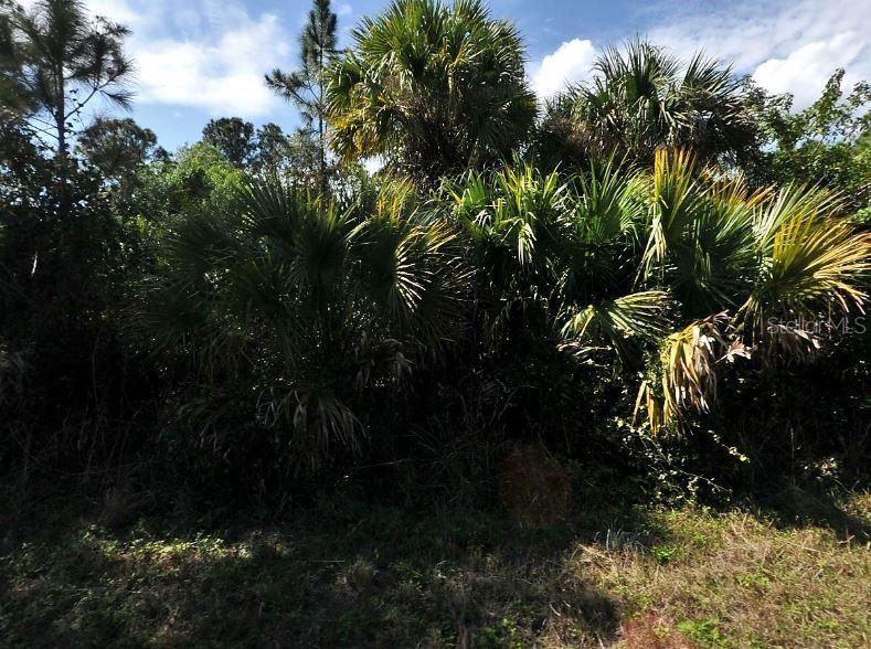 Image 2 of 5 For Button Street