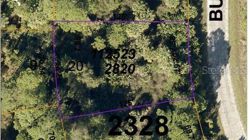 Image 4 of 5 For Button Street