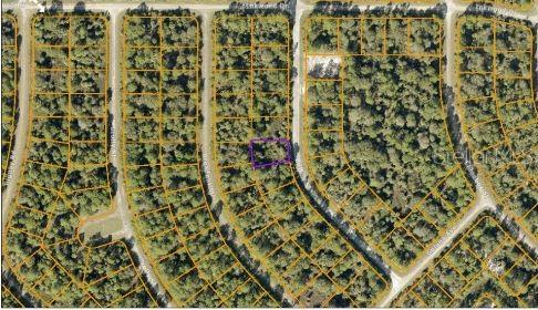 Image 5 of 5 For Button Street