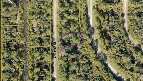 Image 3 of 5 For Annatto Street