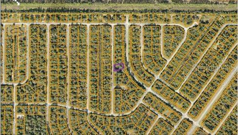 Image 4 of 5 For Annatto Street