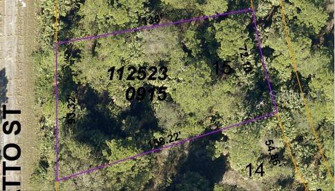 Image 5 of 5 For Annatto Street