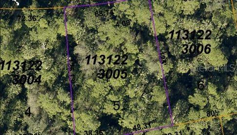 Image 3 of 5 For Pinklady Lane