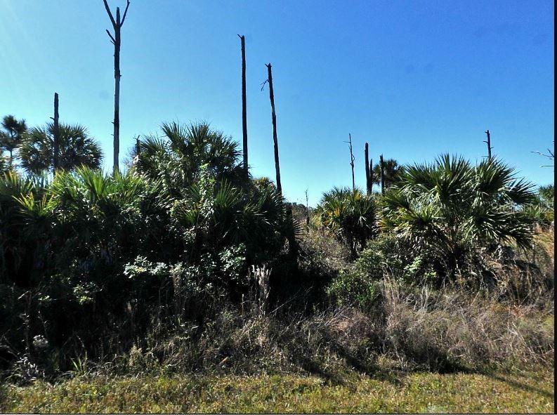 Image 2 of 5 For  Ewen Circle 