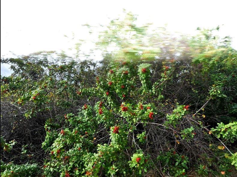 Image 2 of 5 For Mansfield Circle