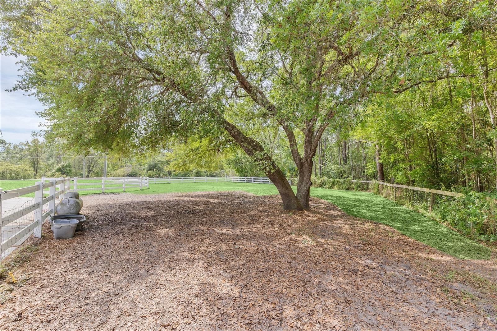 Image 60 of 80 For 19147 Quinella Street