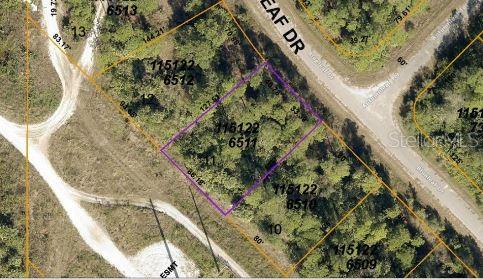 Image 3 of 5 For Blueleaf Drive