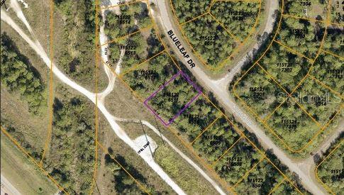 Image 4 of 5 For Blueleaf Drive