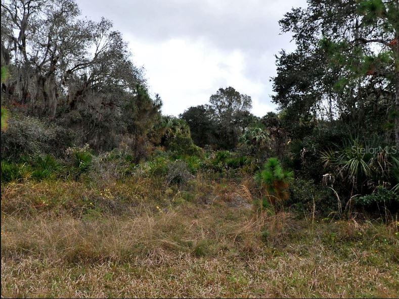 Image 2 of 5 For Delmar Drive