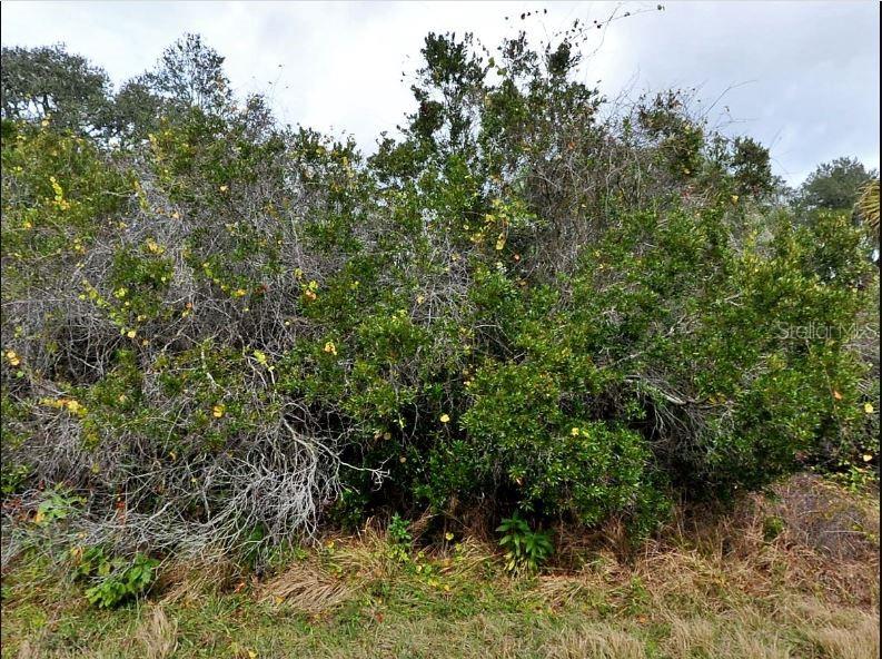 Image 2 of 6 For Brixton Terrace