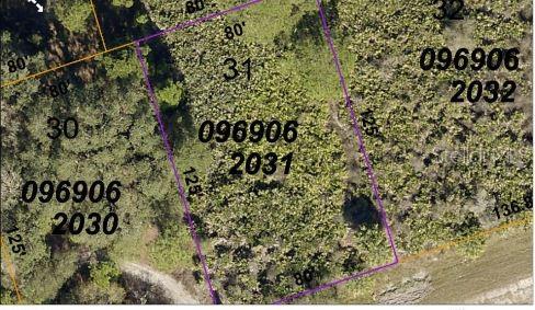 Image 3 of 6 For Brixton Terrace