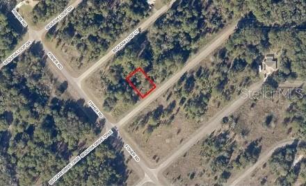 Details for 0 Sequoia Drive Crse, OCKLAWAHA, FL 32179