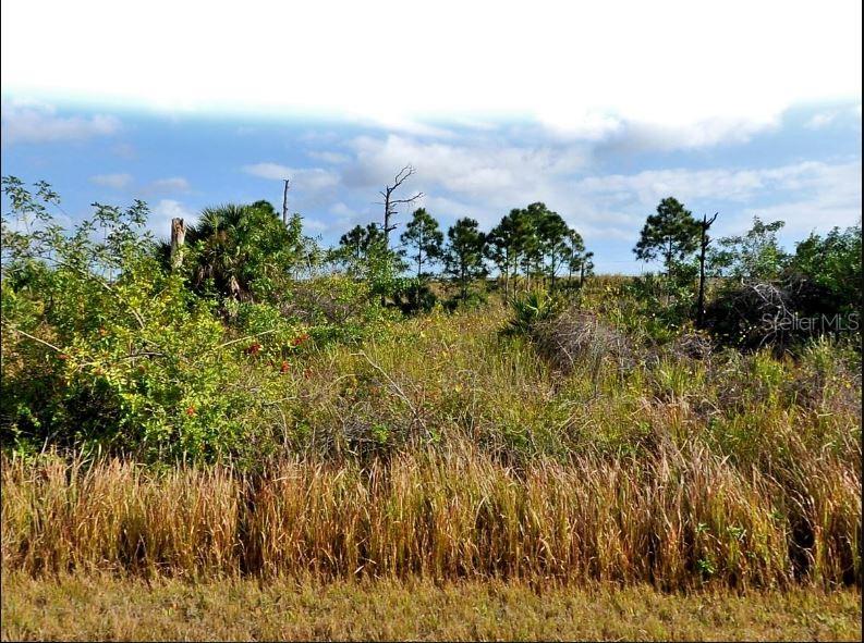 Image 2 of 6 For Mansfield Circle