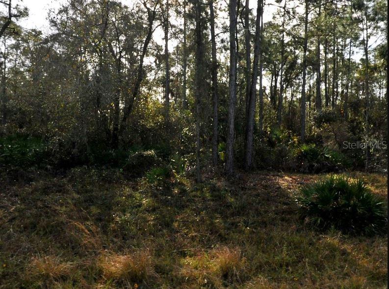 Image 2 of 6 For Lestock Avenue