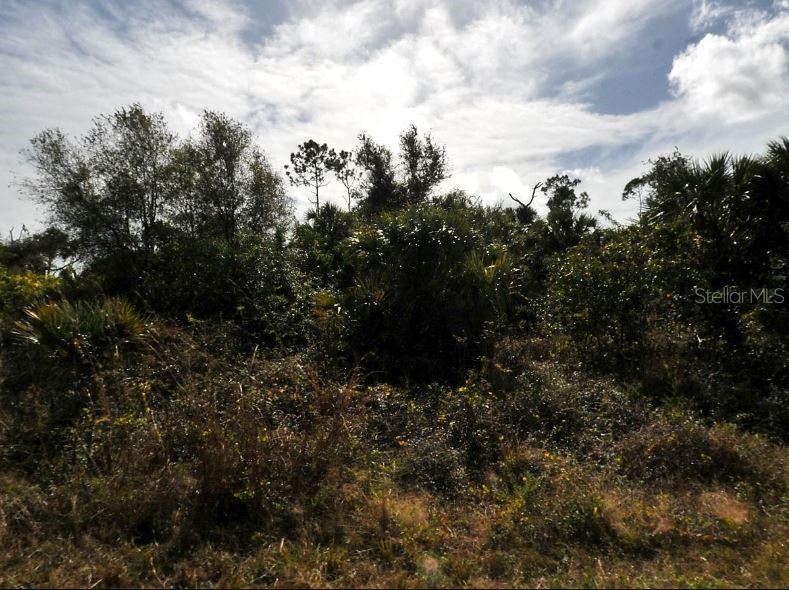 Image 2 of 6 For Rosequeen Circle