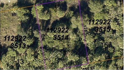 Image 5 of 6 For Rosequeen Circle