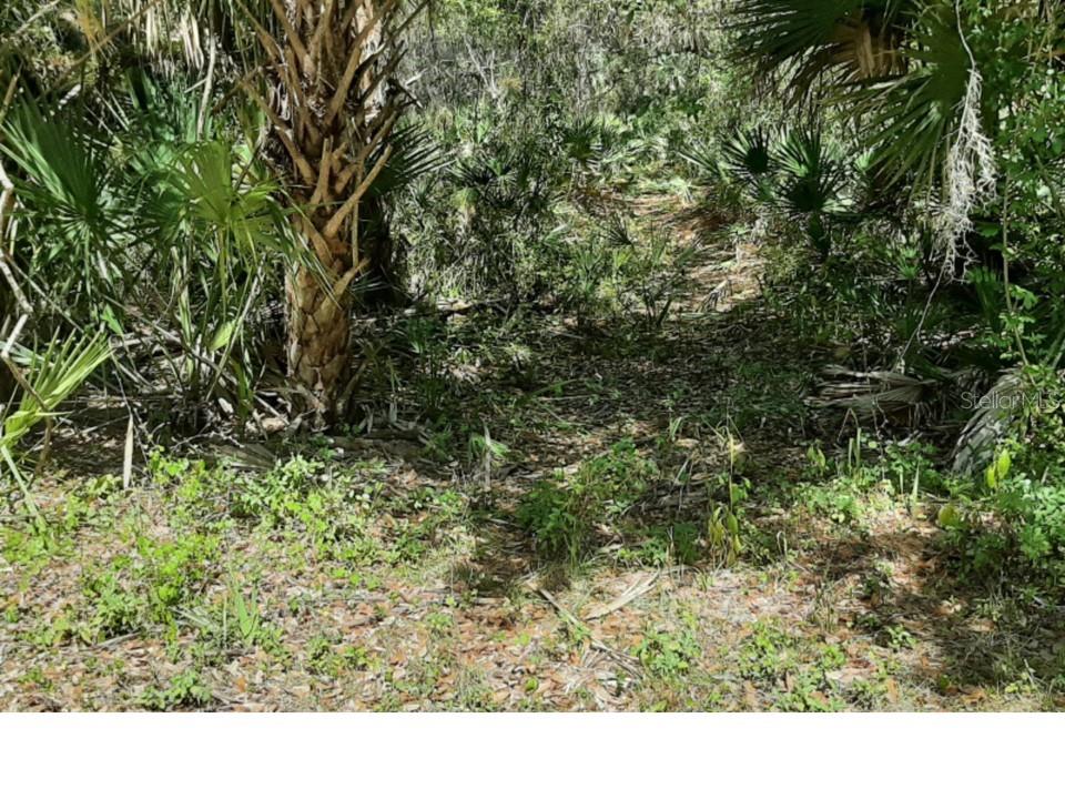 Image 2 of 2 For 13341 Pebble Avenue