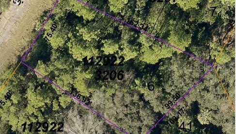 Image 4 of 5 For Earlydawn Road