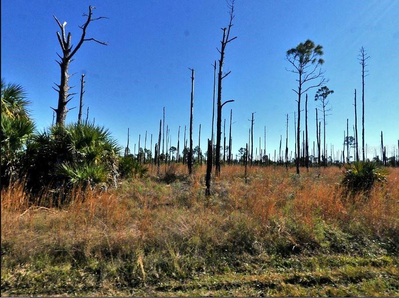 Image 2 of 5 For  Ewen Circle 