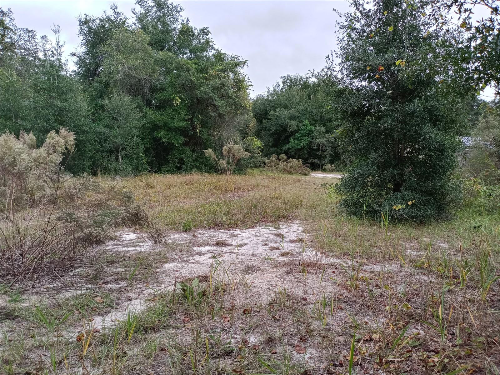 Image 7 of 7 For Sheeler Oaks Drive