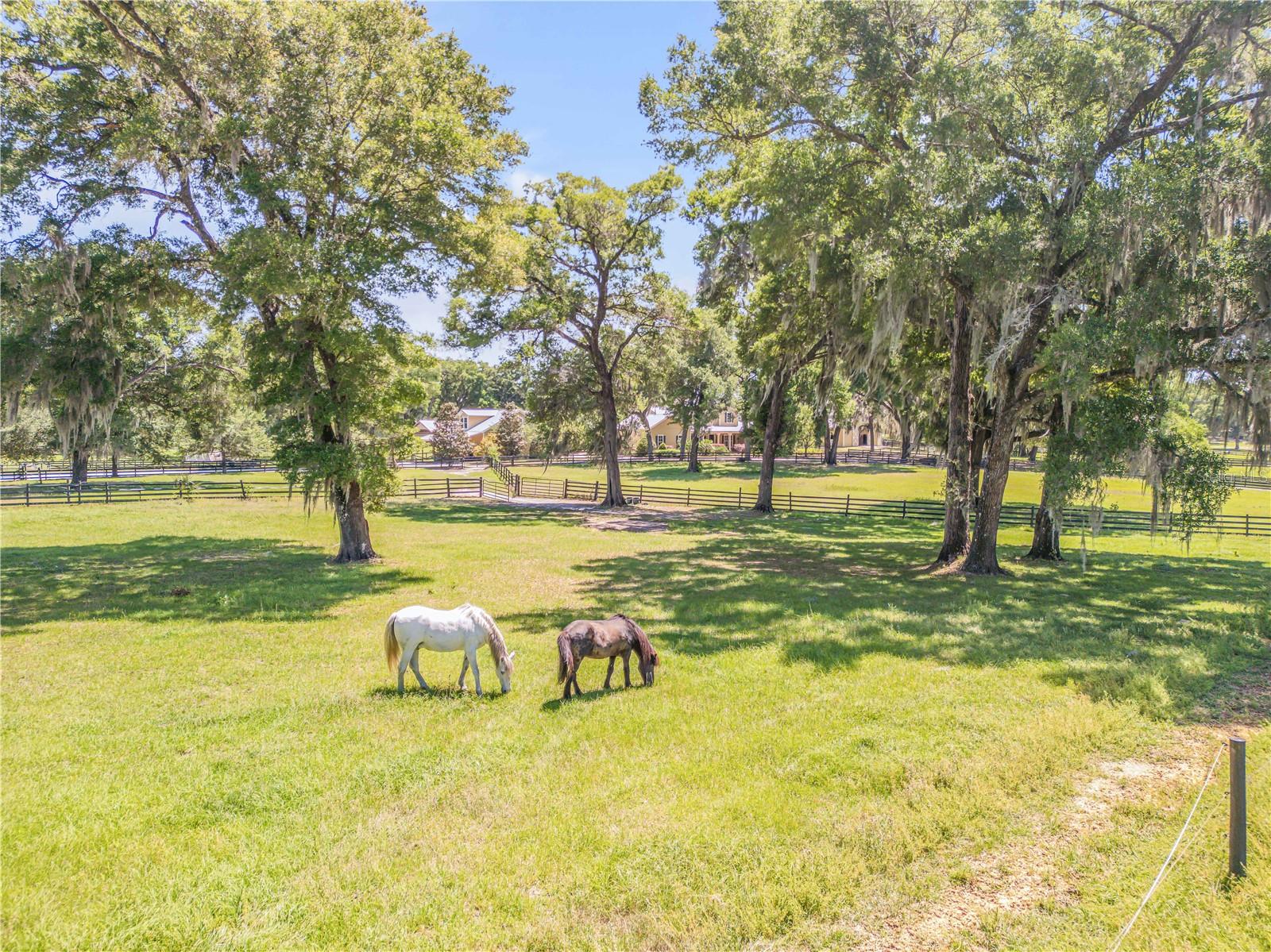 Image 93 of 94 For 1440 Deerfoot Road