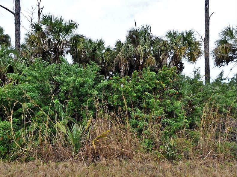 Image 2 of 5 For Silverleaf Road