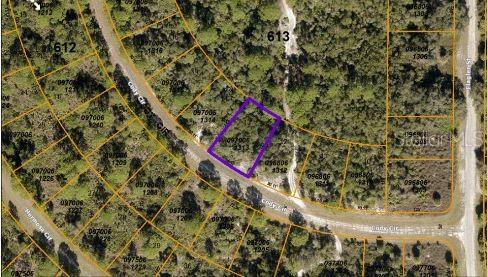 Image 3 of 4 For  Cody Circle 