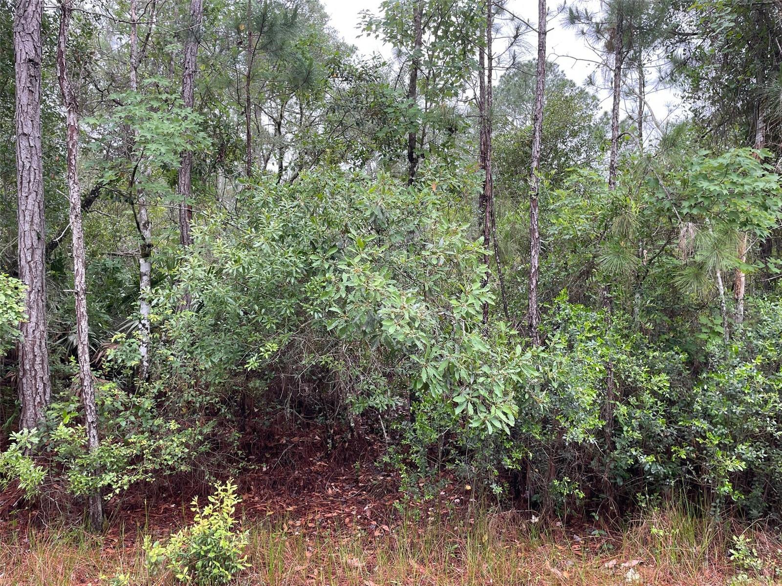 Details for 331 Carteret Road, GEORGETOWN, FL 32139