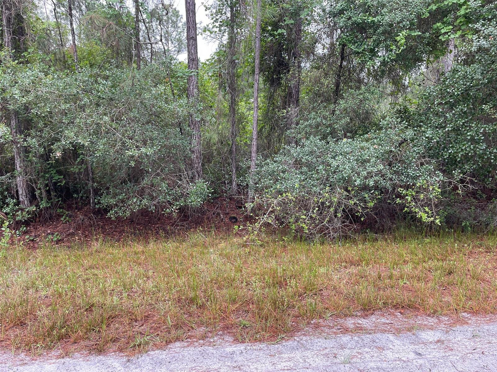 Image 3 of 3 For 331 Carteret Road