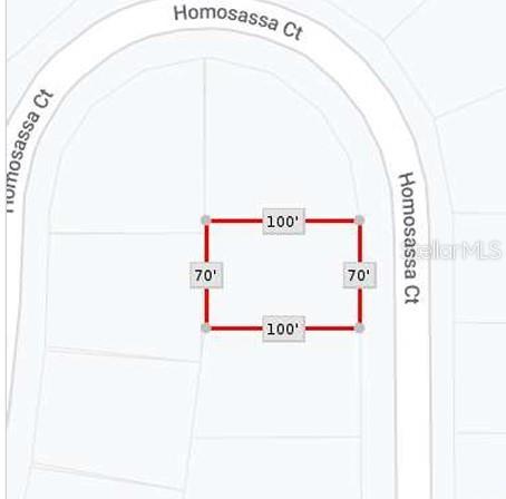 Details for 1314 Homosassa Court, KISSIMMEE, FL 34759