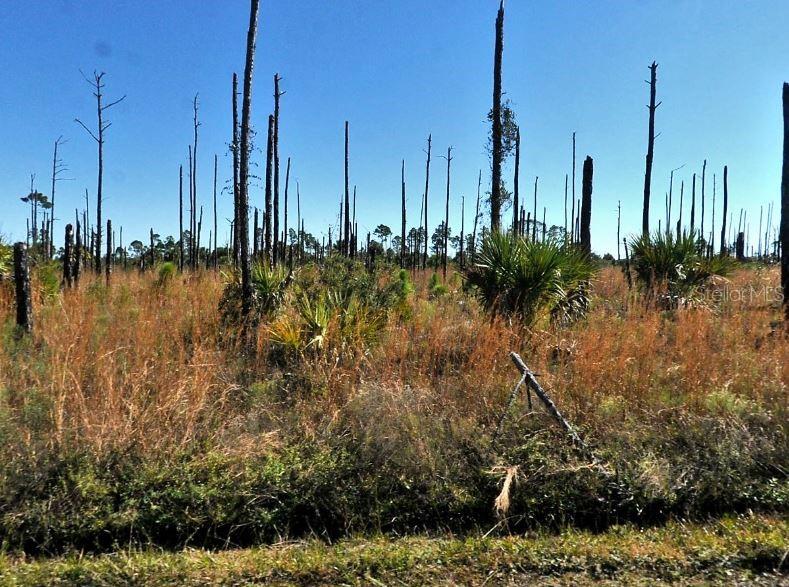 Image 2 of 6 For  Ewen Circle 