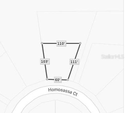 Listing Details for 1327 Homosassa Court, KISSIMMEE, FL 34759