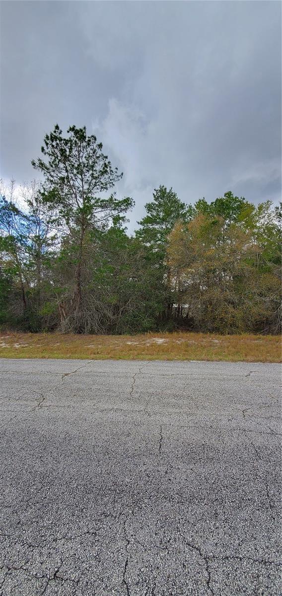 Details for 1428 Hillsborough Drive, POINCIANA, FL 34759