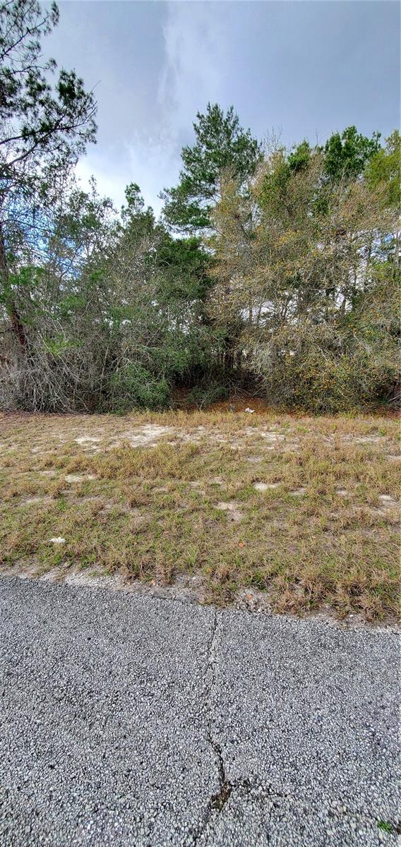 Image 2 of 6 For 1428 Hillsborough Drive