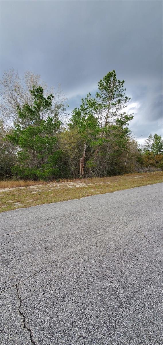 Image 5 of 6 For 1428 Hillsborough Drive