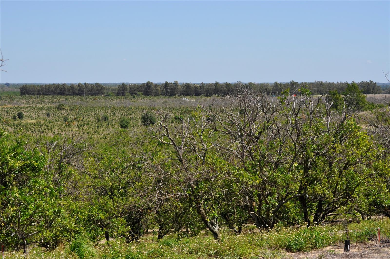 Image 2 of 7 For Garfield Nursery Road