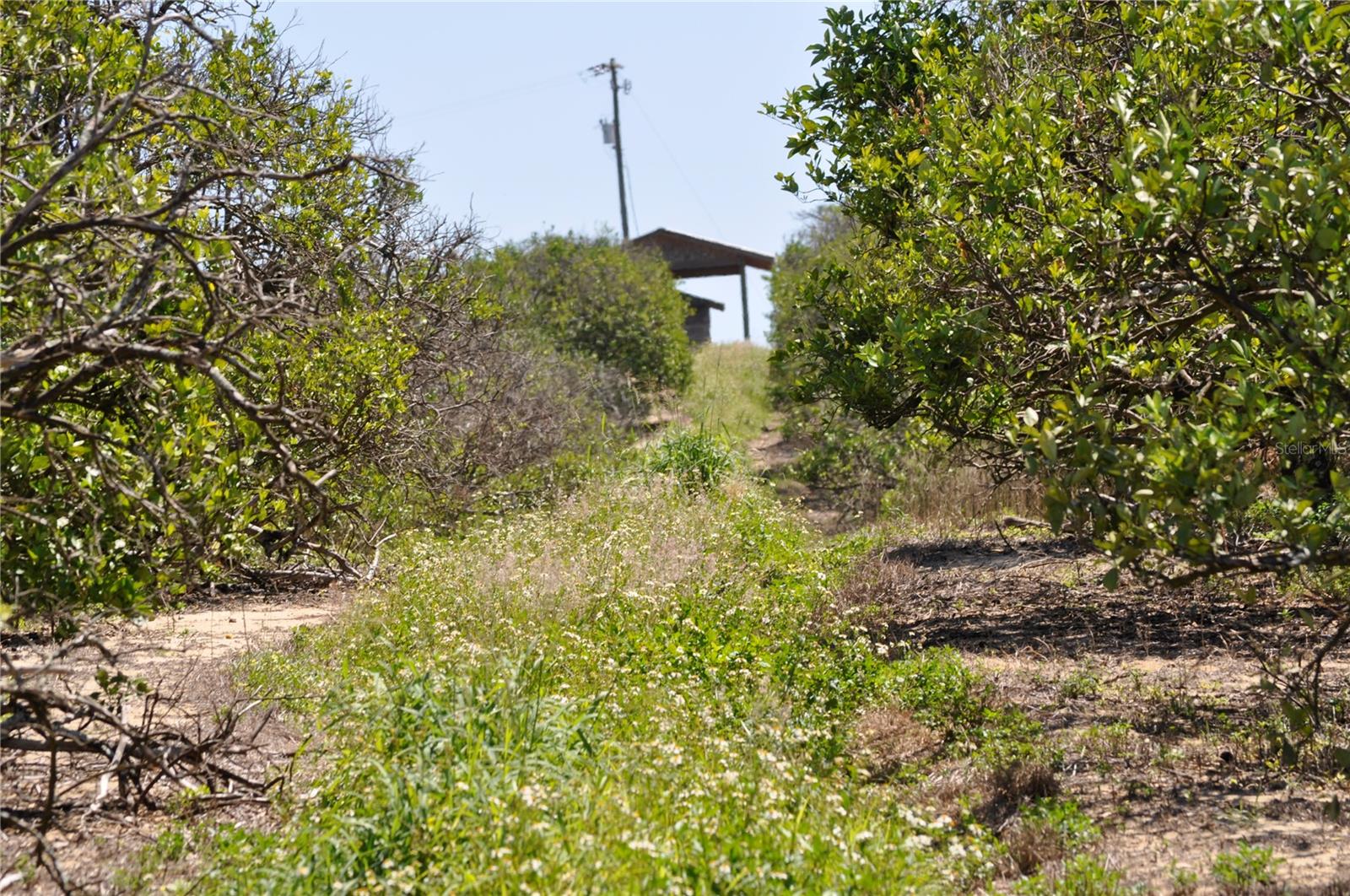 Image 7 of 7 For Garfield Nursery Road