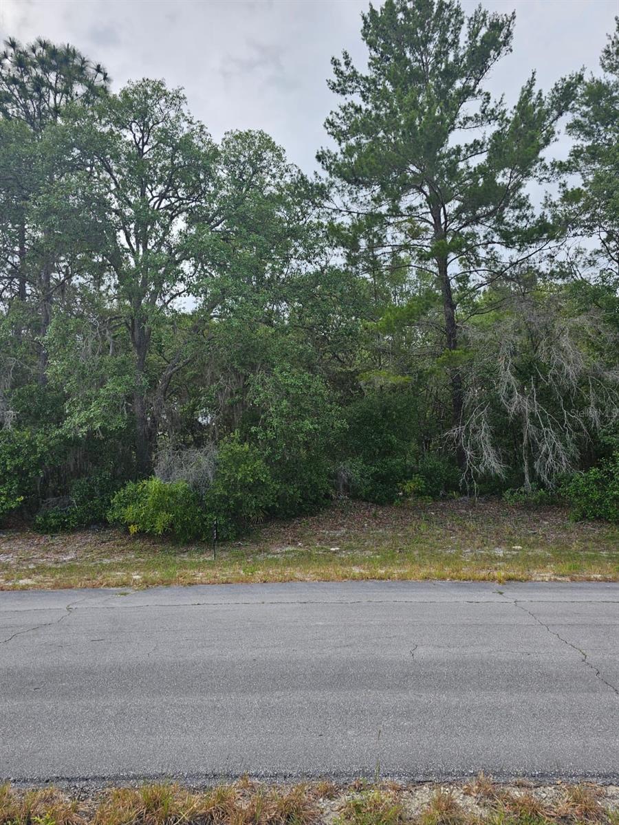 Details for Lot 13 Sw 145th Place Rd, DUNNELLON, FL 34432