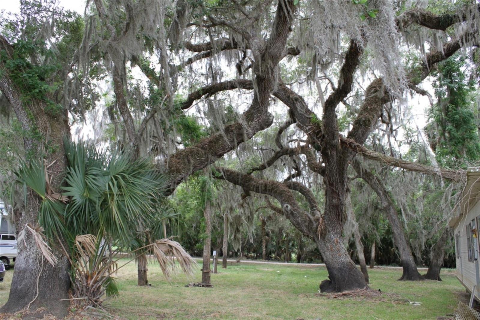 Image 16 of 17 For Cypress Bend