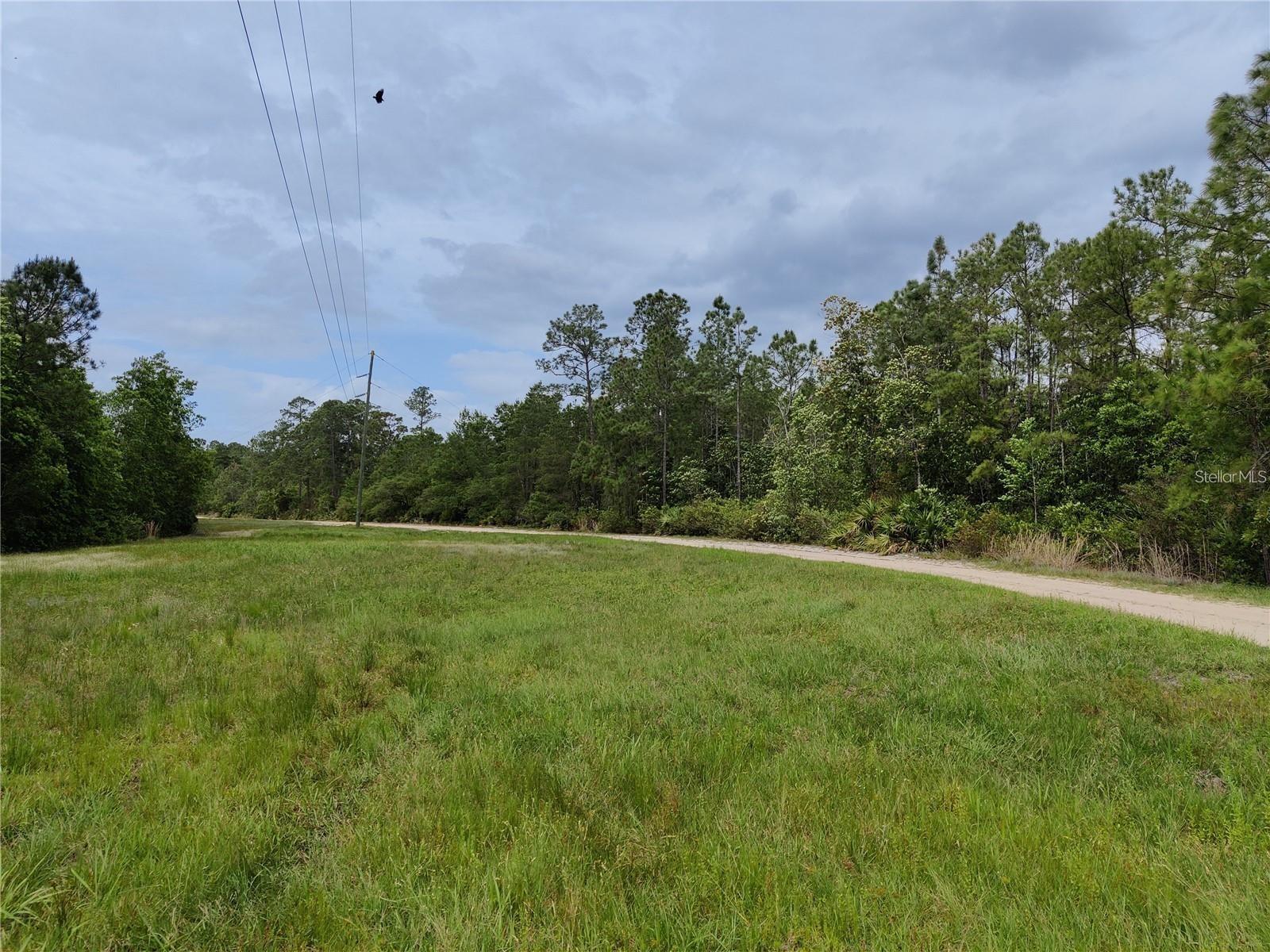 Details for Buck Run Drive, PAISLEY, FL 32767