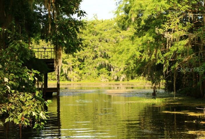 Details for 4885 Cr-306a, LAKE PANASOFFKEE, FL 33538