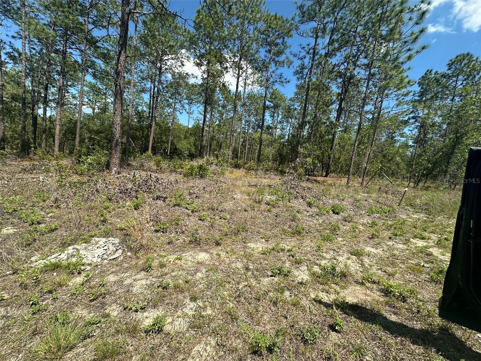 Details for Alvarez Road, DUNNELLON, FL 34431