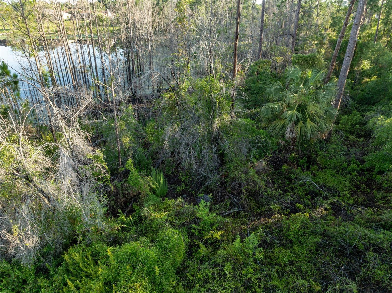 Image 10 of 15 For Melshire Avenue