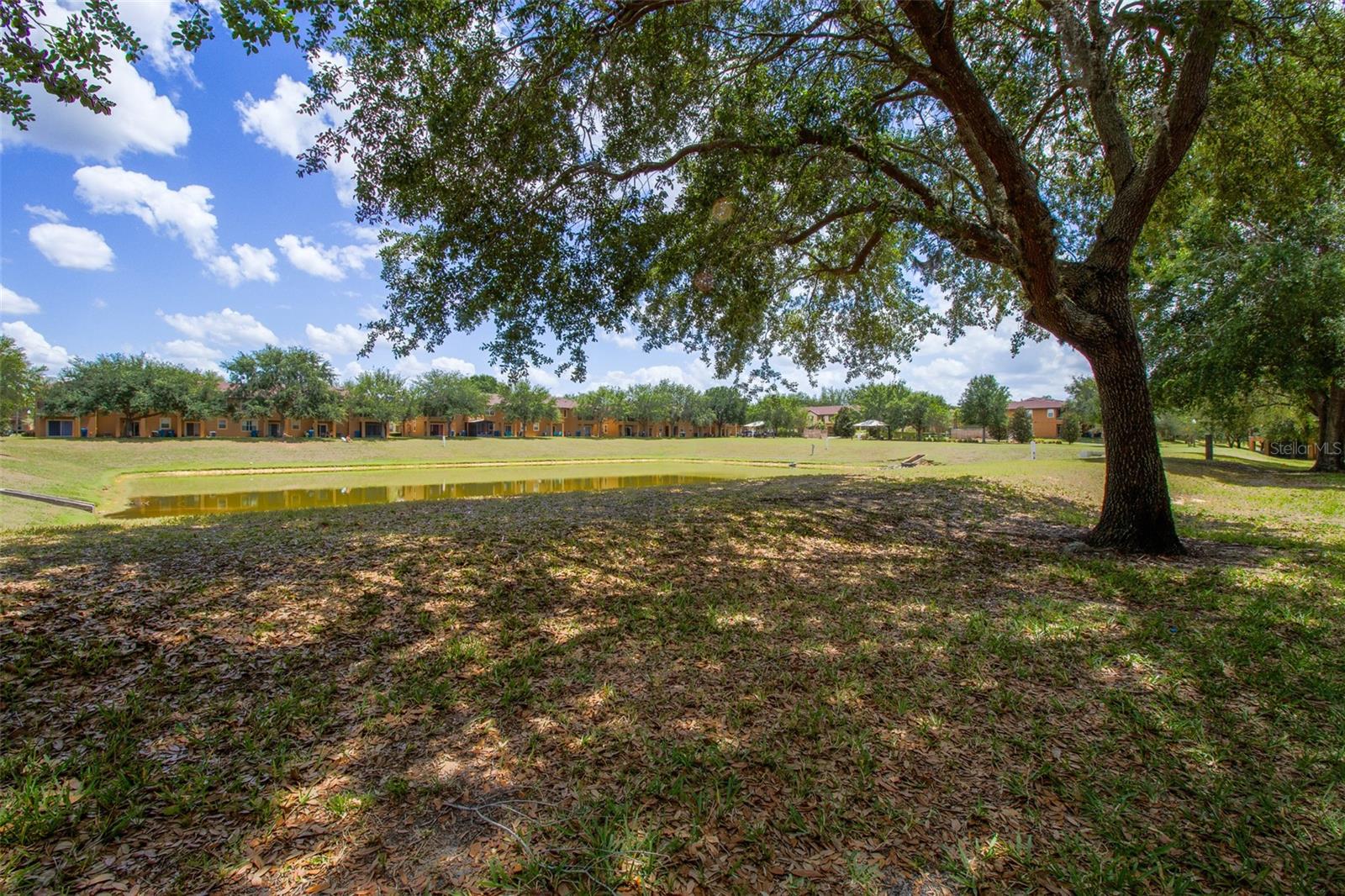 Image 21 of 23 For 244 Capri Drive