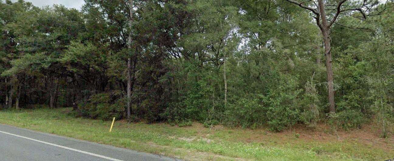 Details for State Road 121, WILLISTON, FL 32696