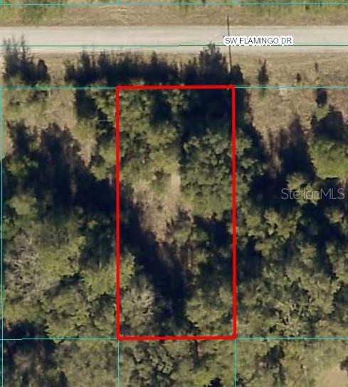 Details for Flamingo Drive, DUNNELLON, FL 34431