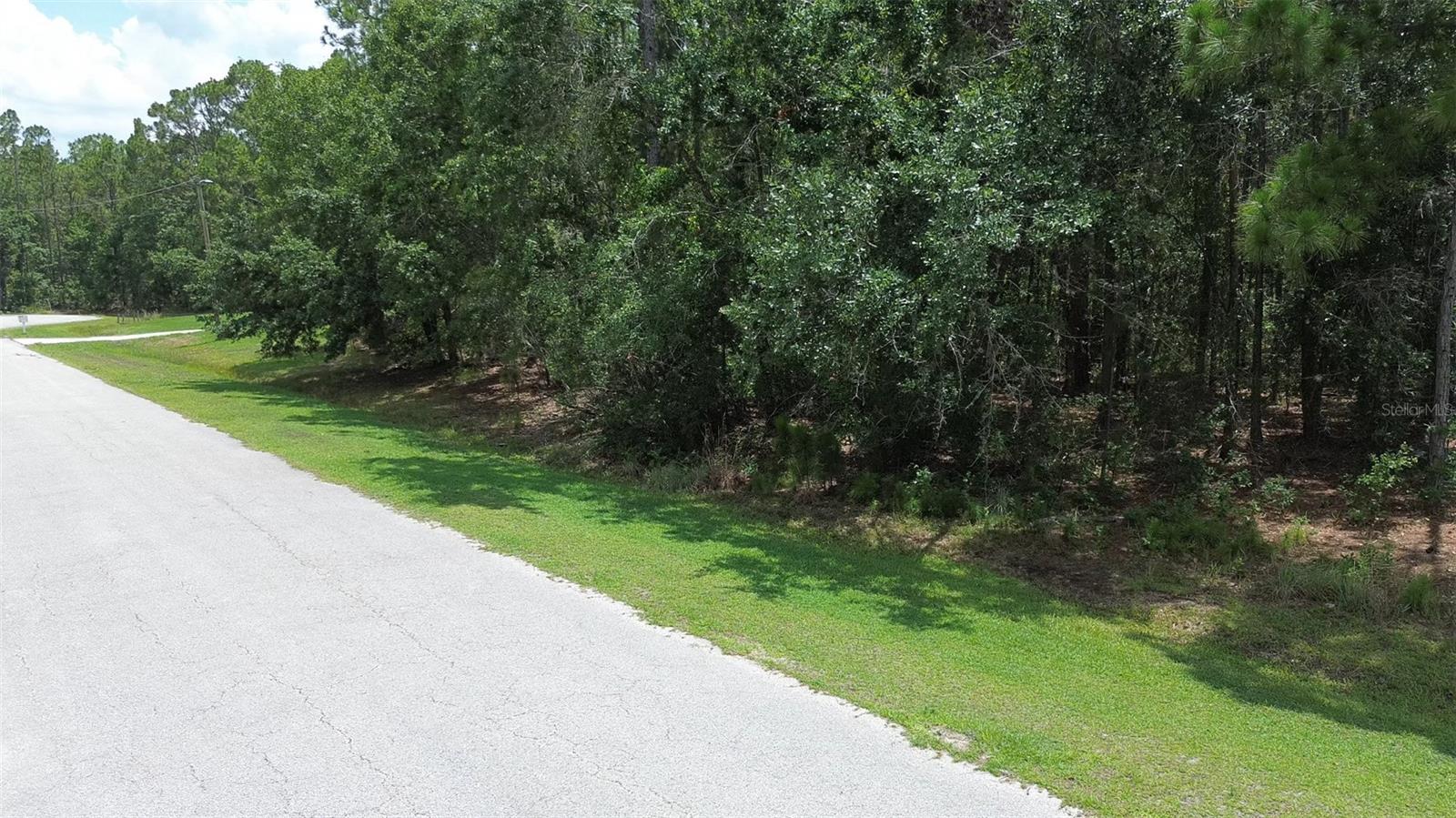 Image 5 of 7 For 0 Florida Grackle Lane Lot 237