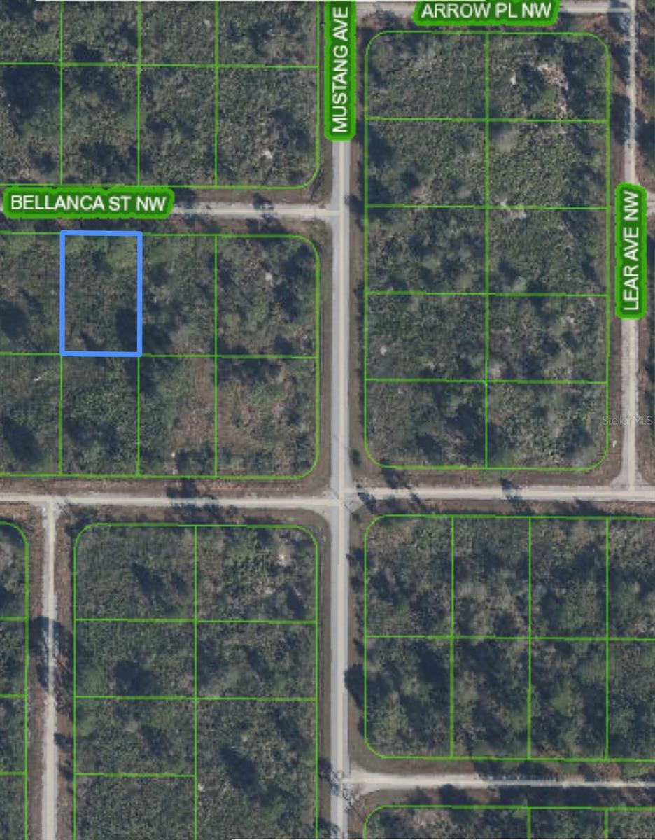 Details for 324 Bellanca Street Nw Lot 8, LAKE PLACID, FL 33852