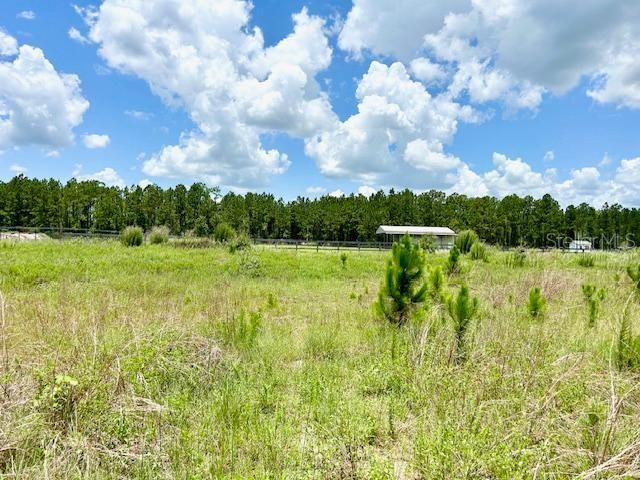 Details for Sweet Hill Road, POLK CITY, FL 33868