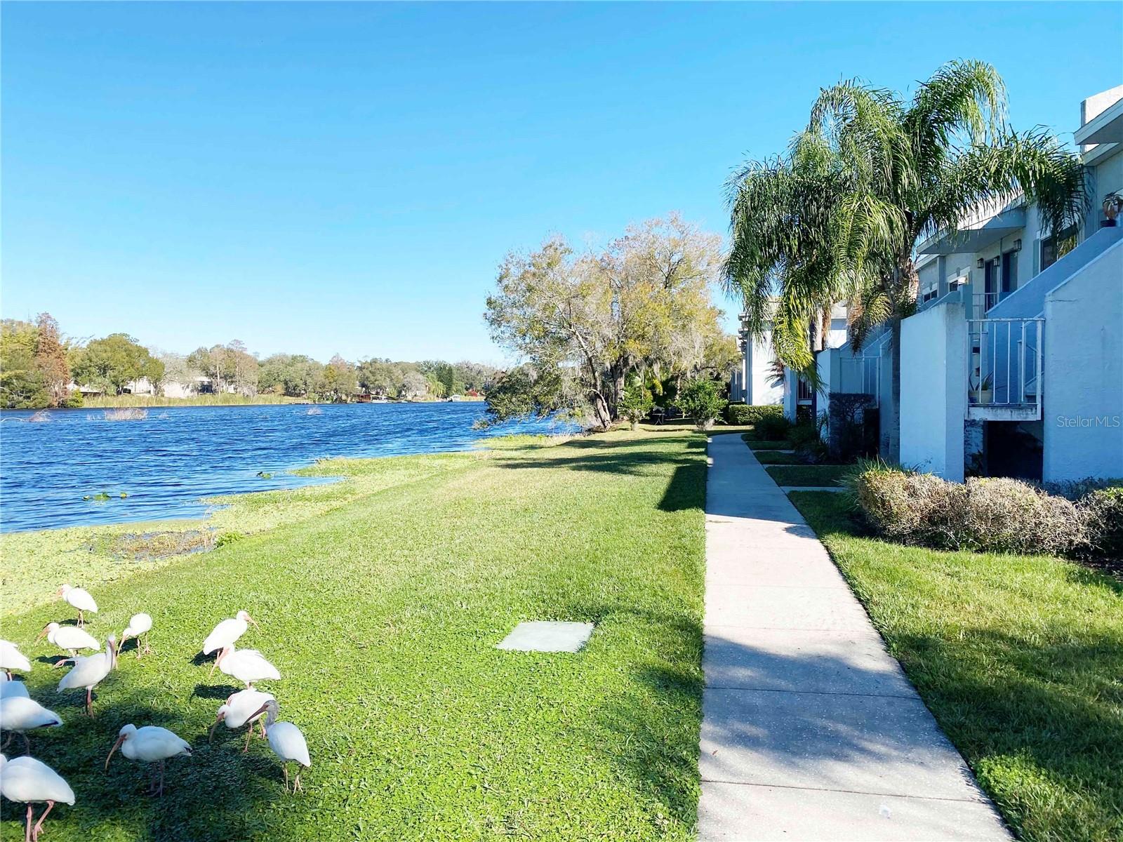 Listing photo id 10 for 7120 Waterside Drive 106